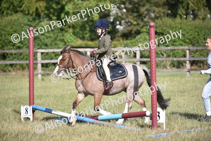 20260906-0596 - Class 6 - Minimus Jumping