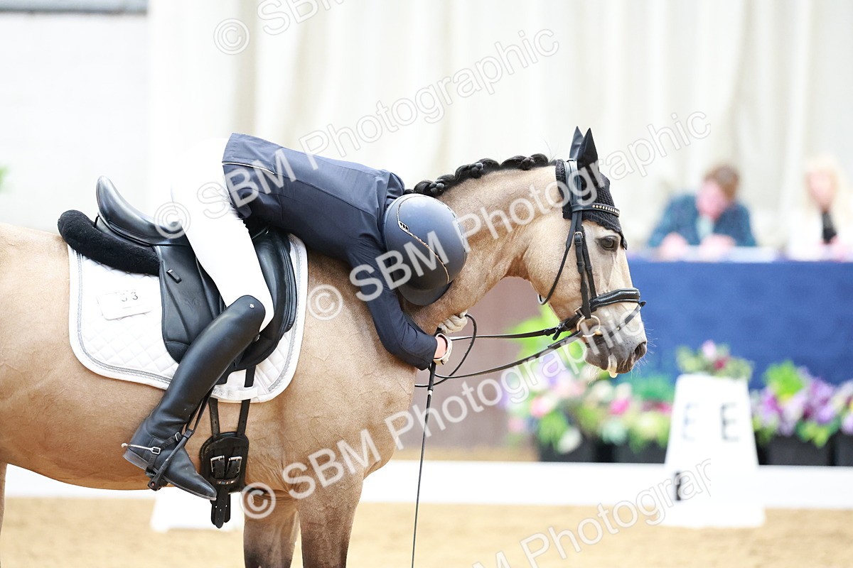 SBM_017245 - Class15 - FEI Pony