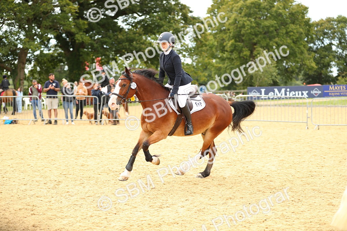 SBM_71352 - J18 - Junior Pony 85cm Championship