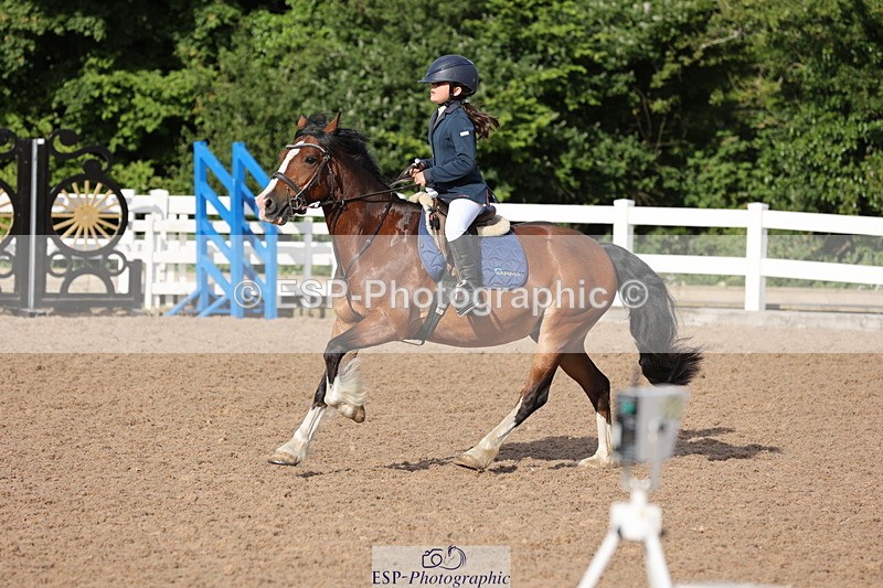 240629A-082134-02515 - Cls 16 British Novice and 80cm Open