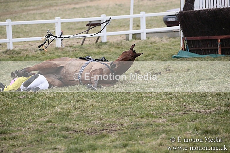 PtP 180218 291 - Combined Services Point-to-Point Larkhill 18/02/18
