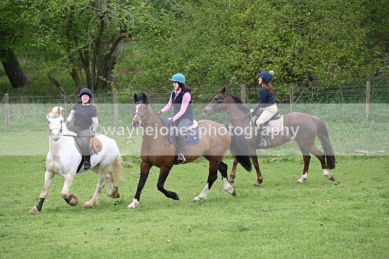 WJ6_3149 - A camera