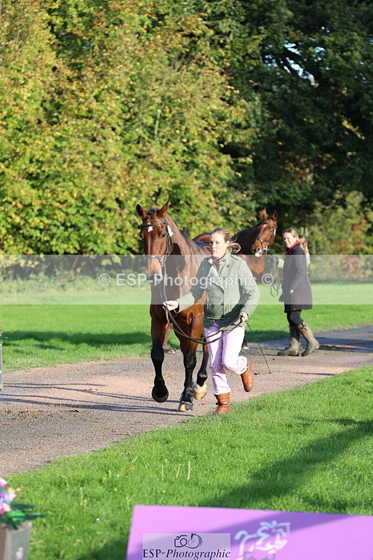 251026A-095025-22518 - D-312-Laura.Sharpe