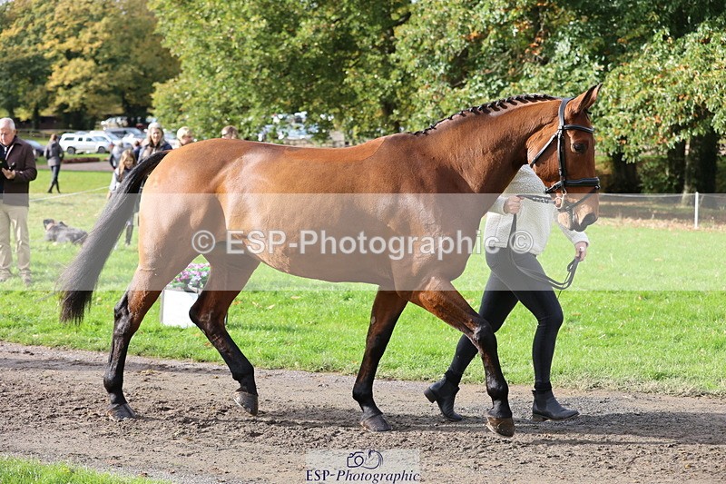 251026A-120506-25874 - G-506-Felicity.Egan