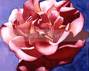 A Rose - Prints