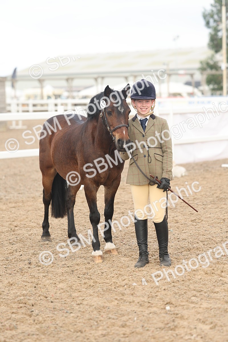 SBM_08556 - Class 29 - IH Veteran Pony