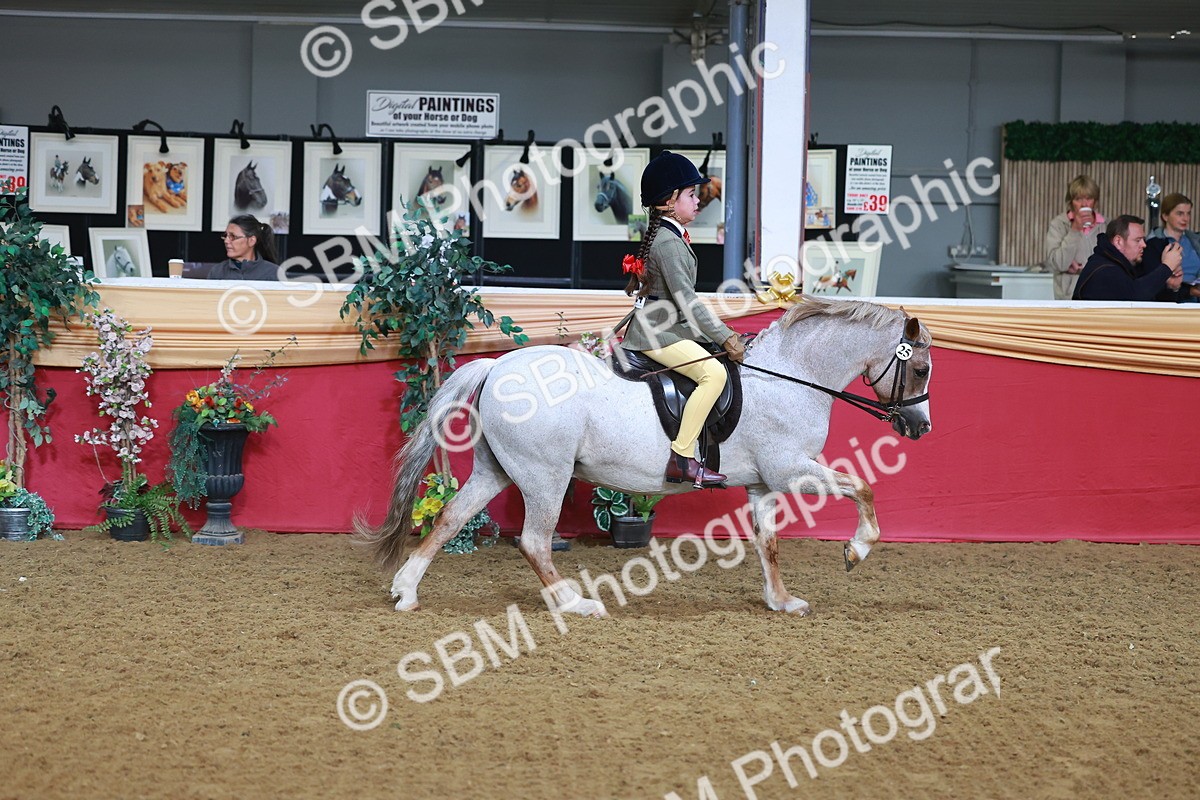 SBM_07630 - Class 101 - HOYS Veteran Qualifier - Ridden Diamond