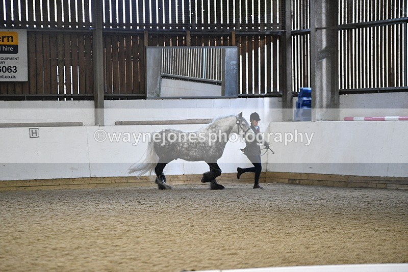 WJ5_5192 - Class 8 In hand cob