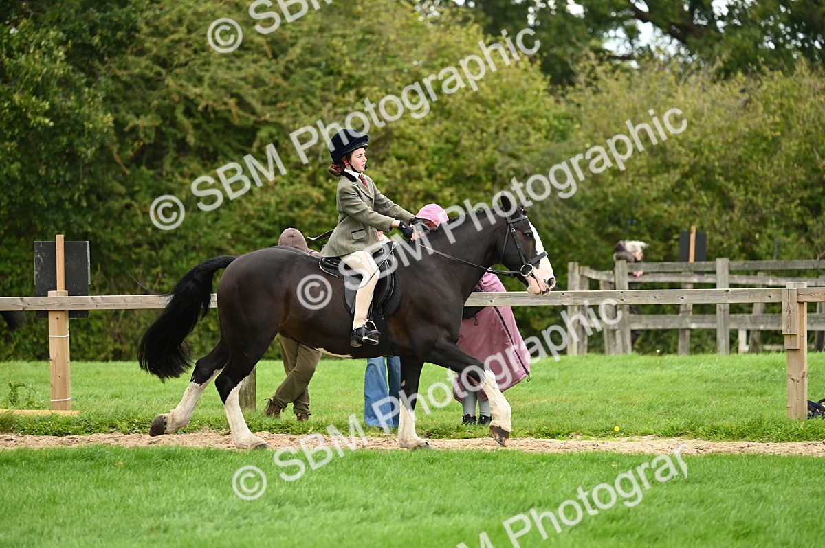 SBM_02897 - S3 - TSR Ridden Pony Showing