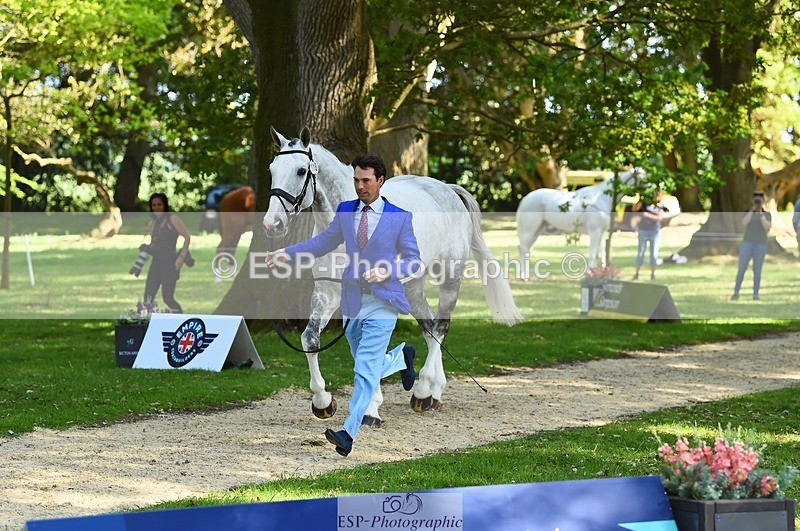 230524-163022-00910 - 118-HIGH_HOPES_VIKING-Harry_Meade-WEDTrotUp+DR