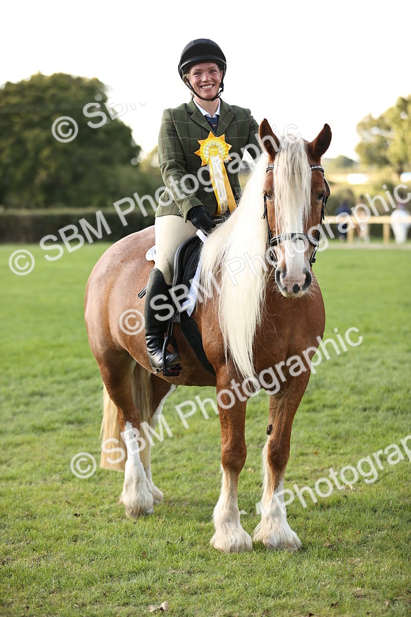 SBM_26487 - S6 - Novice & Newcomers Ridden Horse