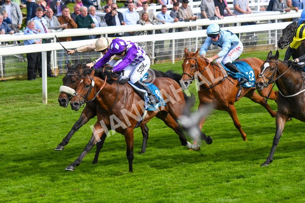 170523-Race 5-Dark Thirty-0699 - Race 5 4.10pm Conundrum HR Consulting Handicap