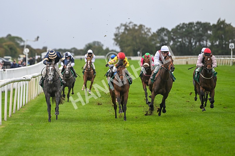 150925-Race 2-Rum Therapy-2375 - Race 2