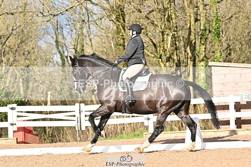 241214-125320-01754 - 119-Rosey.Bradburn-High.Spirits.II