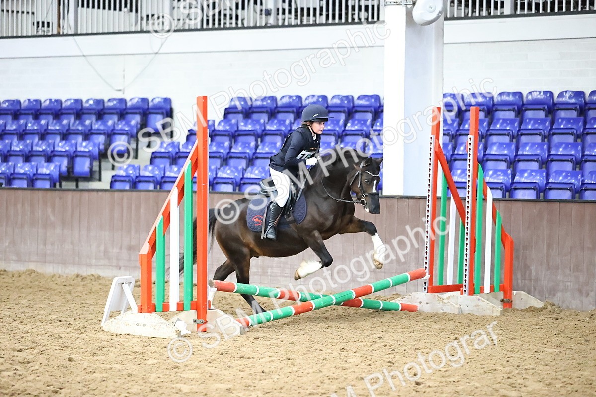 SBM_000142 - Class 2 - The Rug Lady 40cm Area 12 Championship Qualifier
