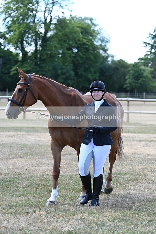 WJ7_2318 - Class 5a Most Handsome Gelding in hand (above 14.2hh)