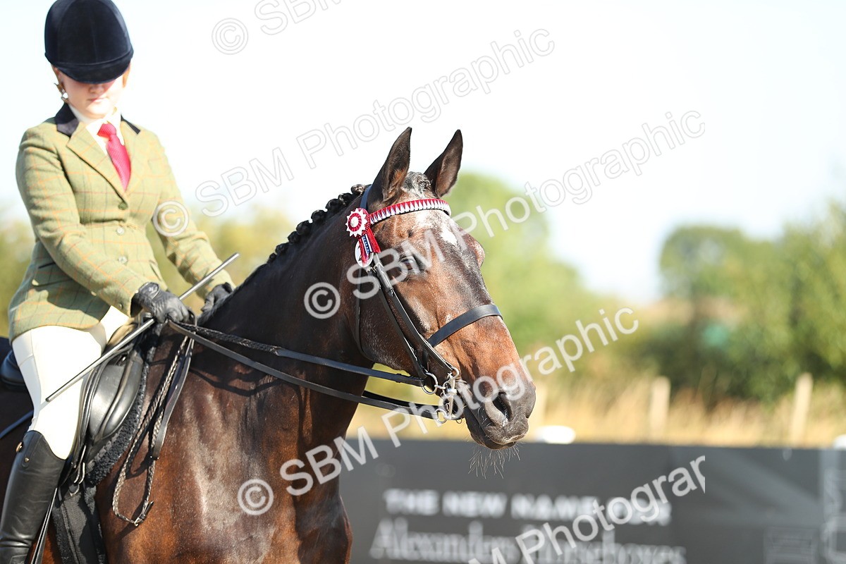 SBM_00408 - Class 41 Best Turned Out Ridden