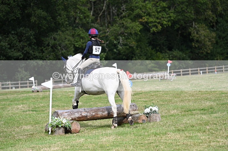 WJ7_8811 - 60cm Time 12:31 to 12:50