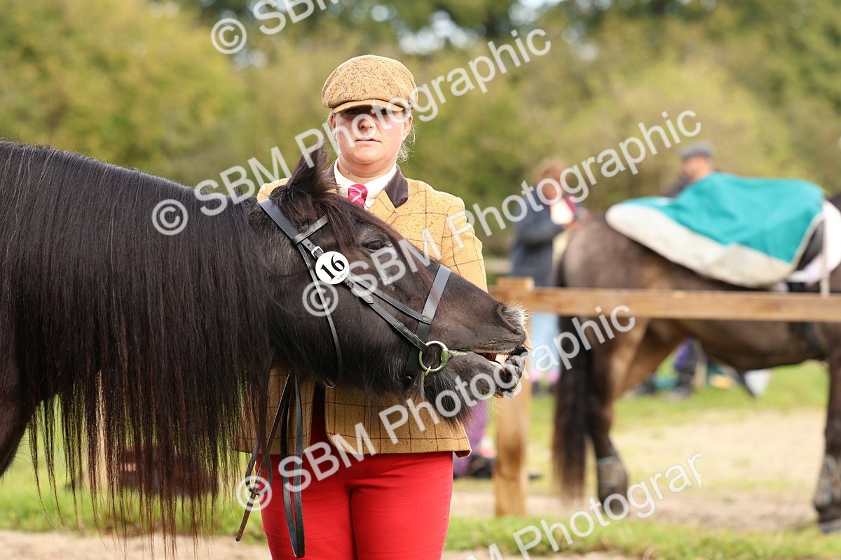 SBM_39364 - S24 - Young Veteran In Hand