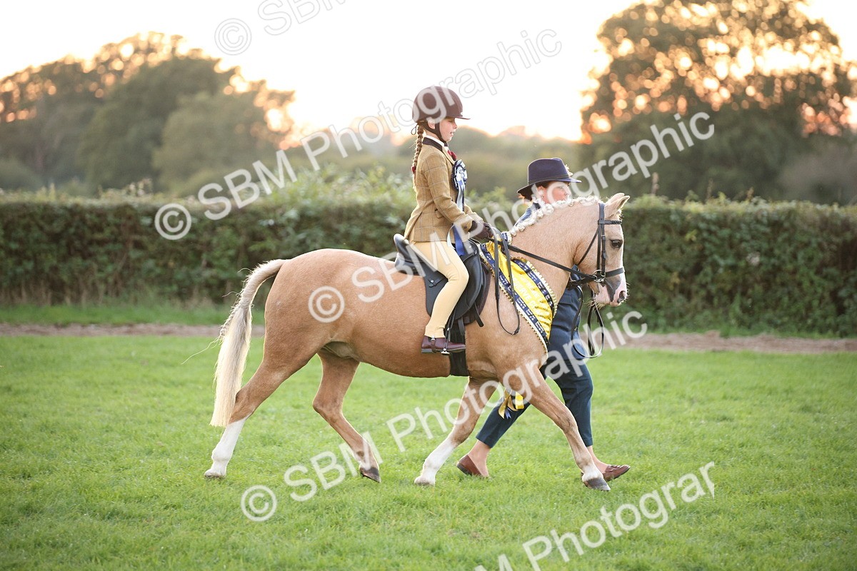 SBM_57127 - Super Supreme Championship