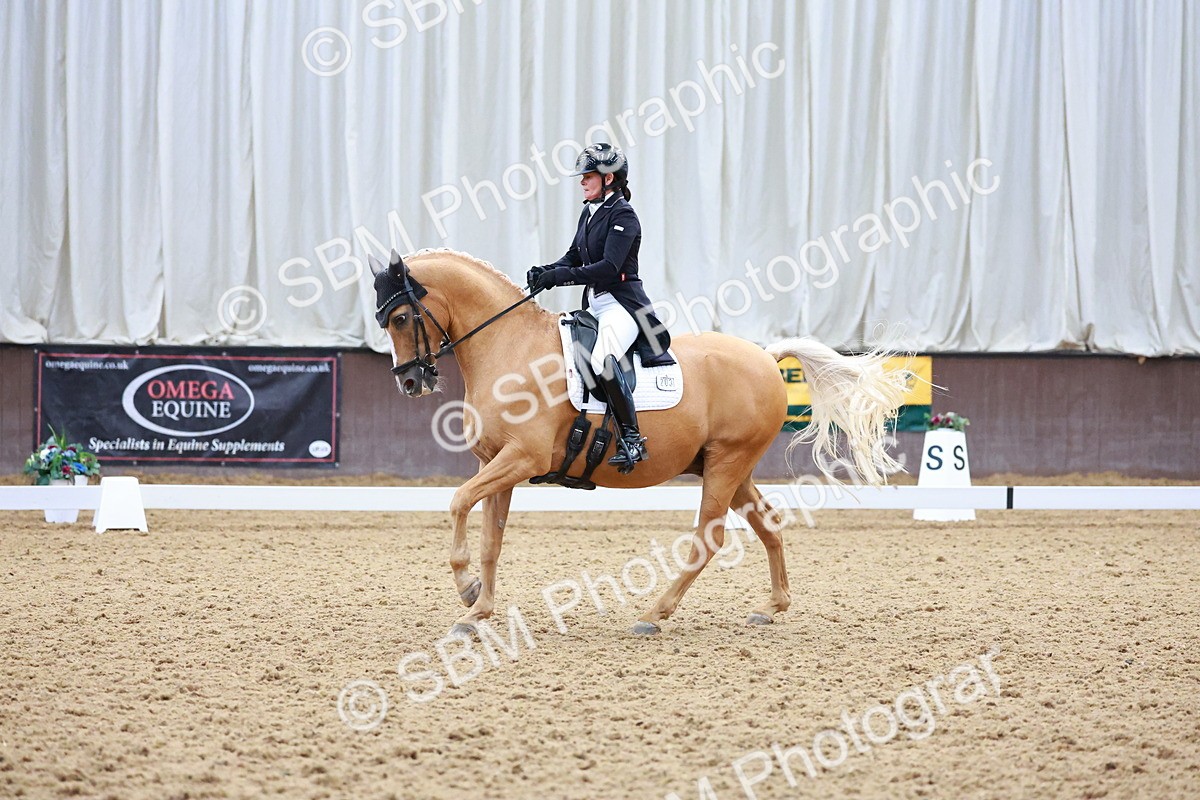 SBM_021302 - Class 25 - FEI PSG Bronze
