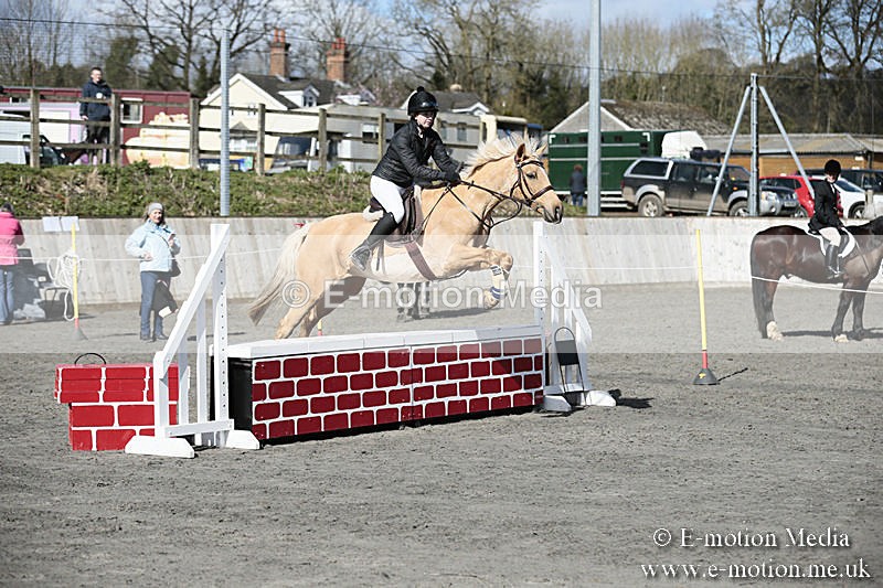 BVRC SJ 170319 263 - Bourne Valley Riding Club Showjumping 17/03/19