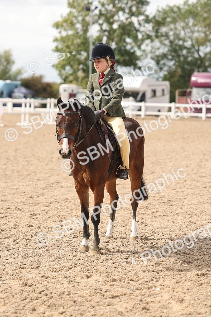 SBM_15899 - Class 310 - First Ridden Pony