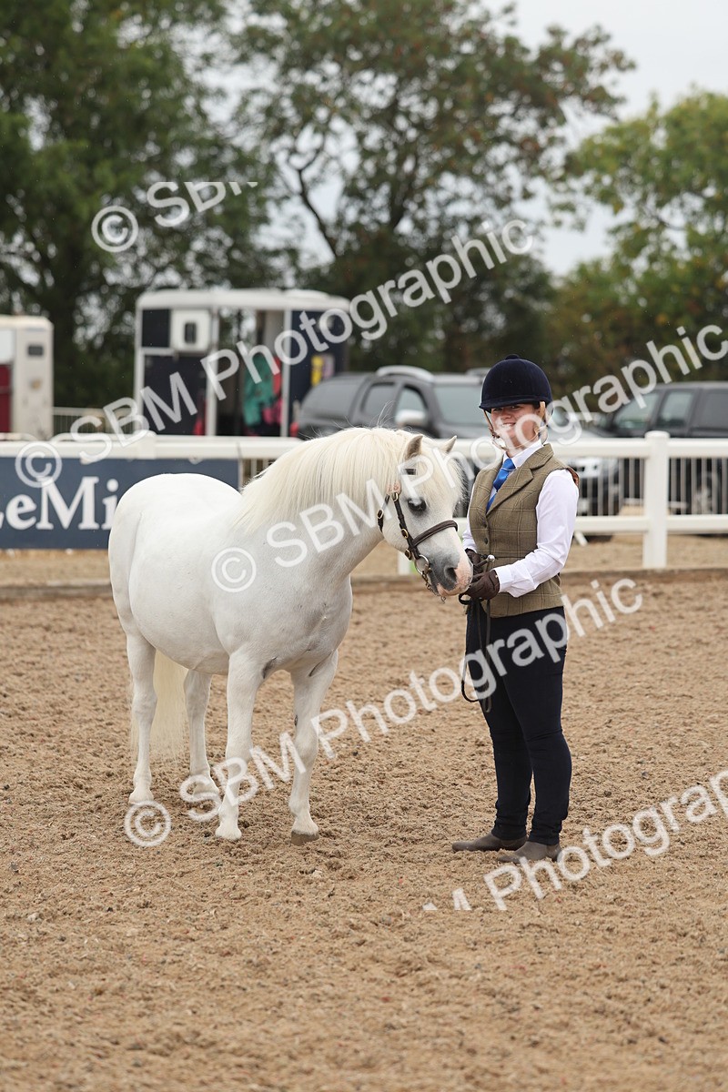 SBM_00588 - Class 13 Young Handler