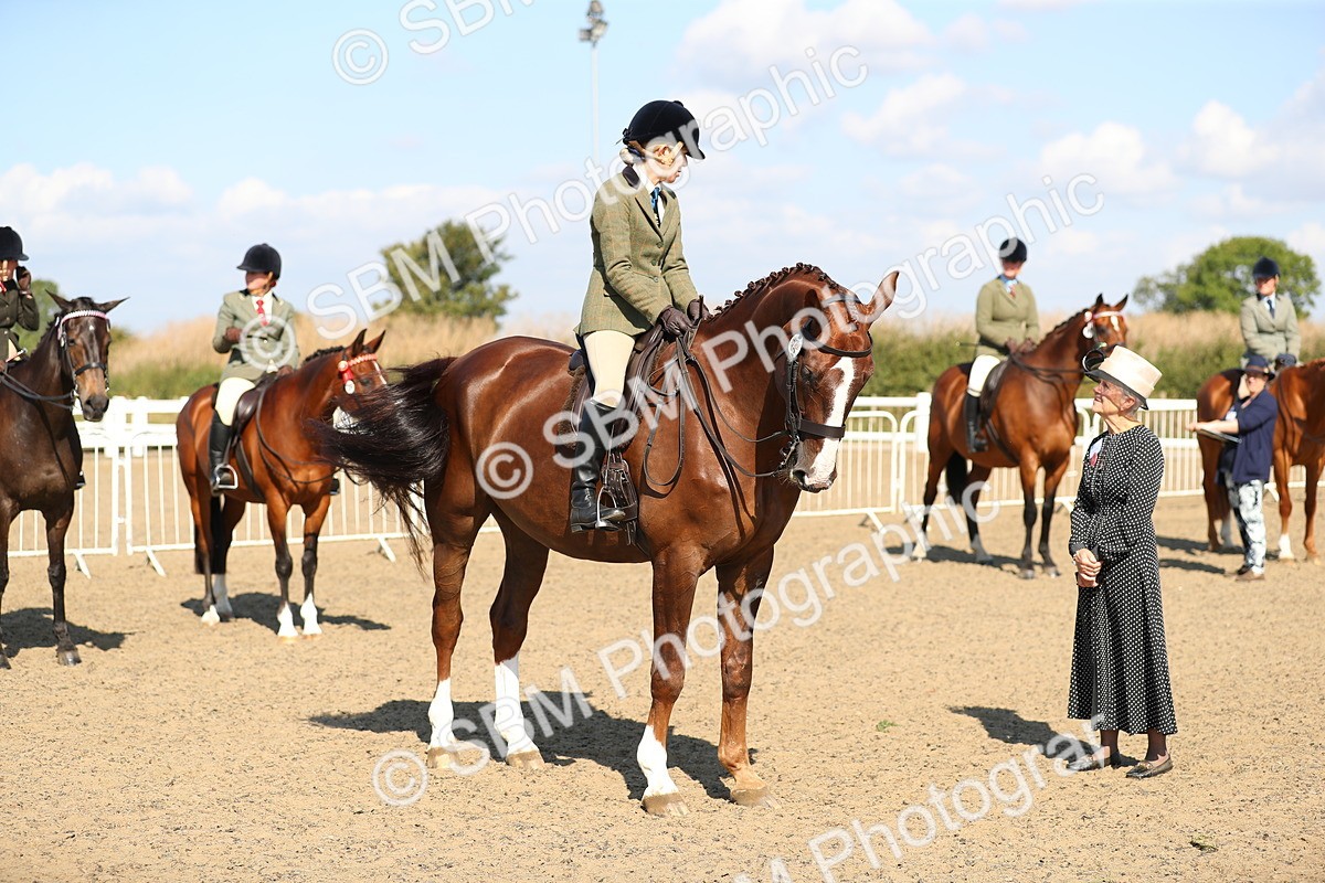 SBM_02337 - Class 43 Ridden Competition Horse/Pony