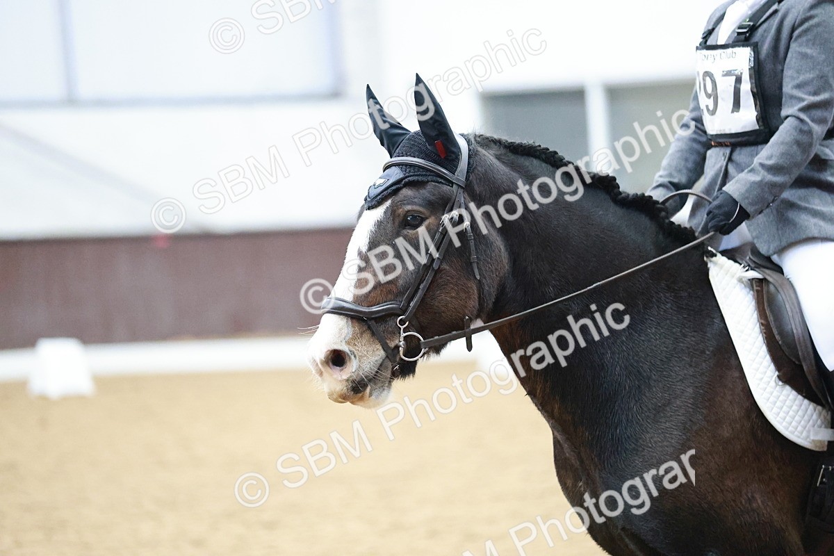 SBM_003844 - Class 2 - Novice 2020