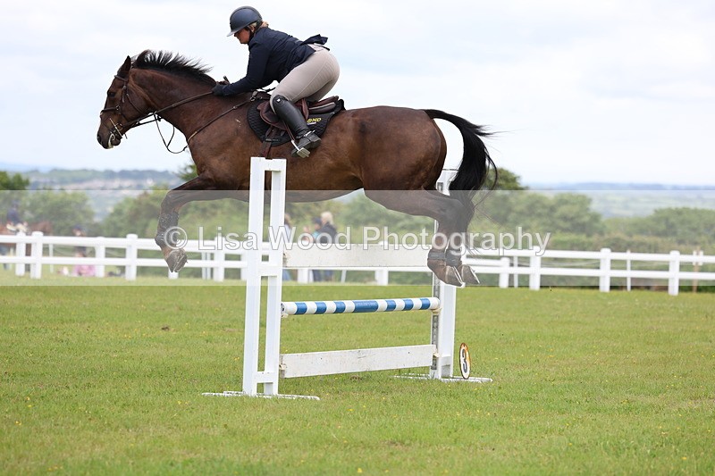 3E7A7072 - Class 12: Senior Foxhunter/1.20 open