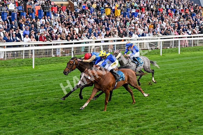 210826-Race 5-Plage De Havre-0316 - Race 5 16.10pm Assured Data Protection Handicap