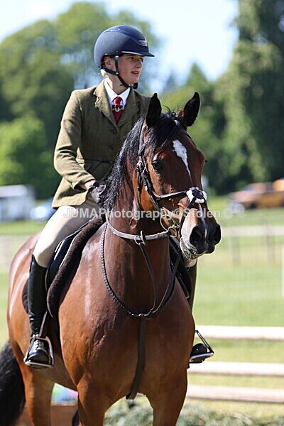 IMG_4381 - Working Hunter