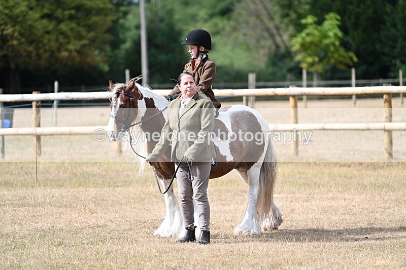 WJ7_6500 - Class 1 Lead Rein Pony