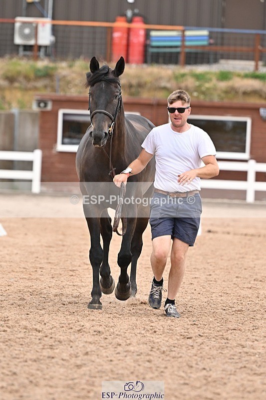 250716-160022-02330 - Trot Up 3.30 to 4.30