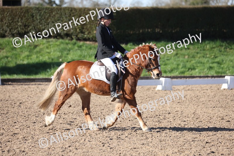 20260214-0365 - Class 4 - Novice 2