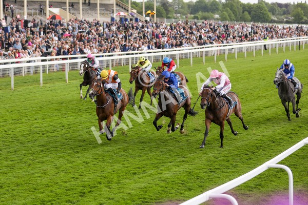 190523-Race 2-Sounds Of Heaven-7726 - Race 2 2.25pm Oaks Farm Stables Fillies' Stakes