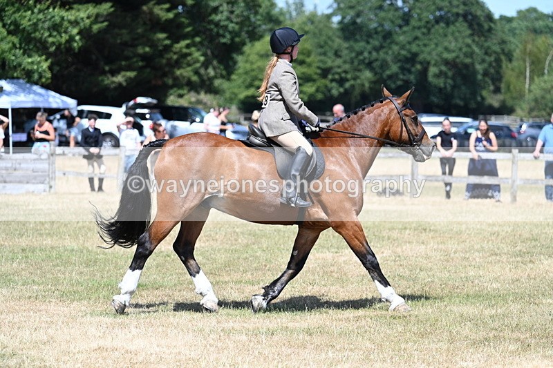 WJ7_3492 - Class 8 Ridden Veterans