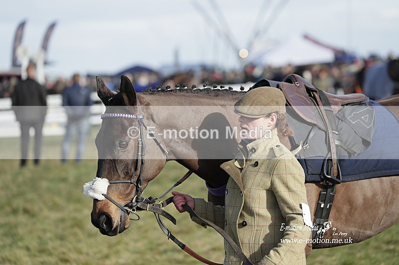 PtP 260223 881 - South & West Wilts Point-to-Point Larkhill 26/02/23