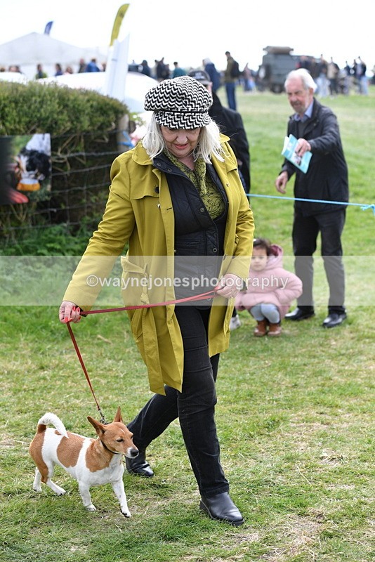 WJ5_0296 - Class 7 Best Terrier