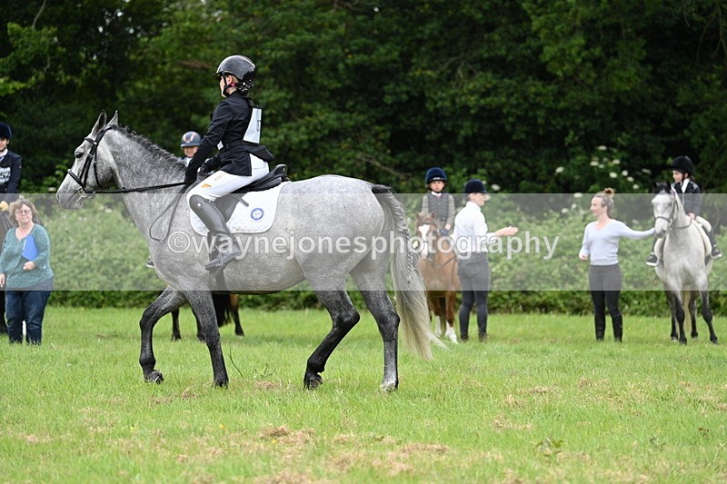 WJ7_3971 - Class 14A Handsome Gelding