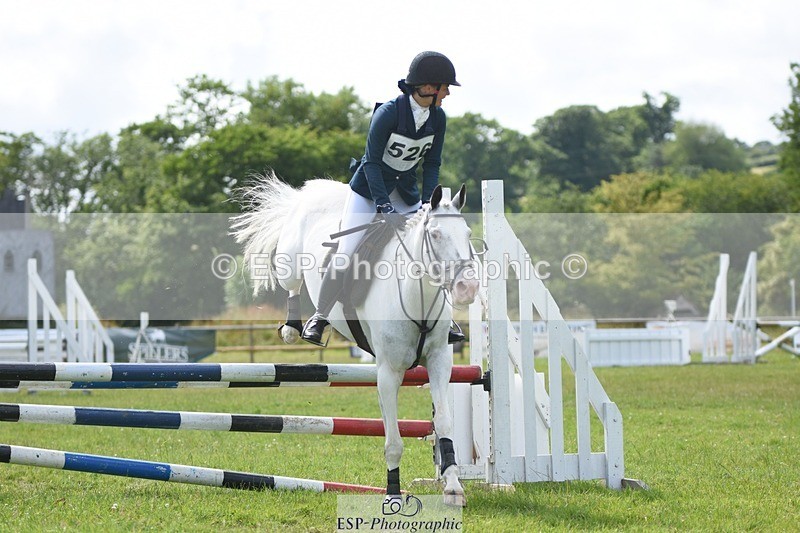 230625-162442-07295 - SJ80 15.50 to 16.50