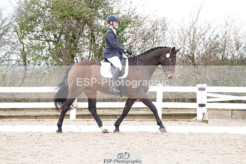 250322-121836-00341 - DR Novice 2 Test