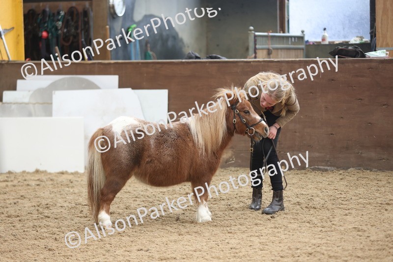 20251109-0371 - Class 14 - Geldings 4 Years and Over