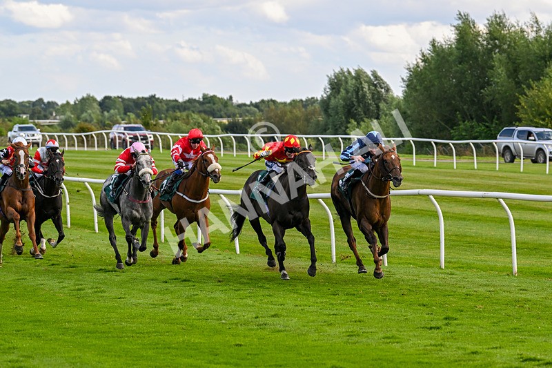 060824-Race 6-Golden Prosperity-3048 - Race 6