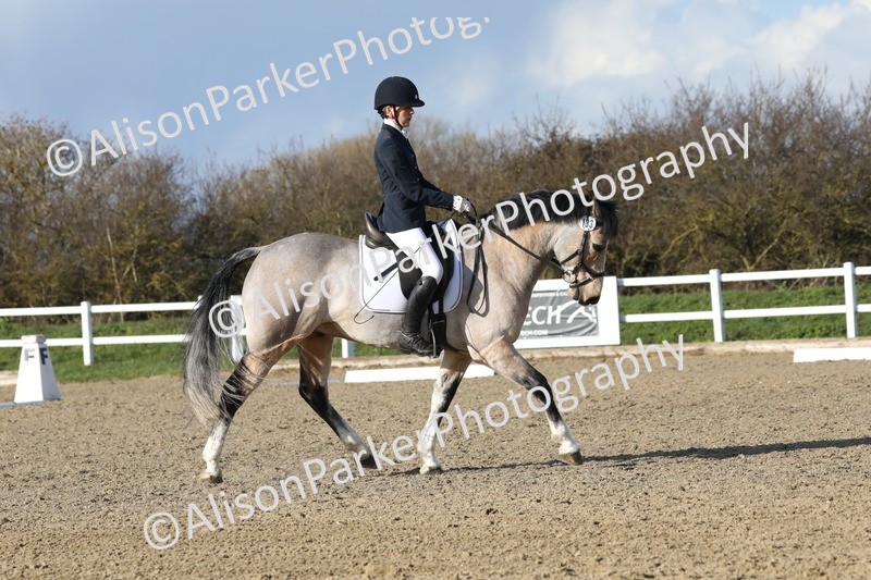 20260314-5835 - DR 7 - Elementary 1