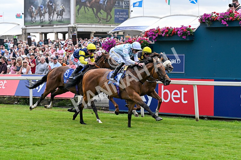 250726-Race 2-Stratusnine-6901 - Race 2 14.00pm Sky Bet Dash