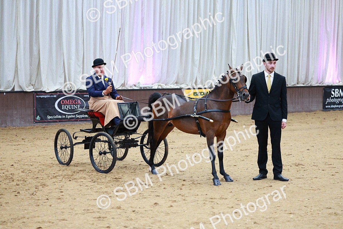 SBM_000645 - Class 9 - HHS Championship Intl Hackney Pony to a Showwagon