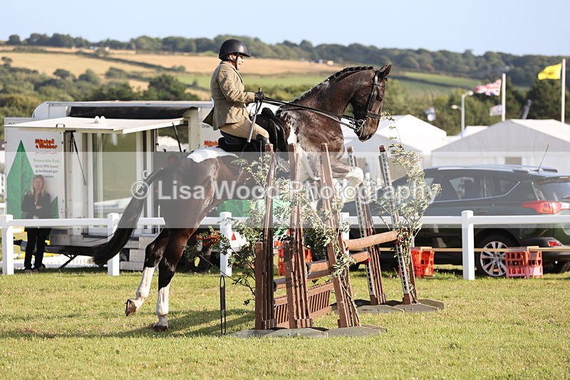 JPP_3458 - Class 22: Working Hunter 90cm