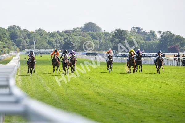 160623-Race 3-Radio Goo Goo-0382 - Race 3 3.00pm British EBF Supporting Racing With Pride Fillies' Handicap